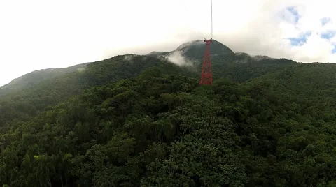 View to the tropical forest from the moving cable car gondola. Stock Footage 58382253