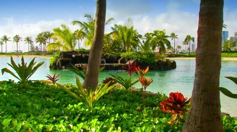 View of tropical island Stock Footage 55571634