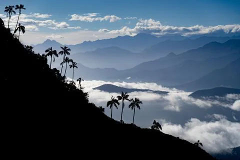 View of the tropical mountains with cloudscape and palm tree foreground. Travel Stock Photos
