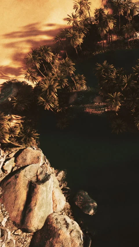 View of a tropical oasis with palm trees and water 스톡 동영상 345010809