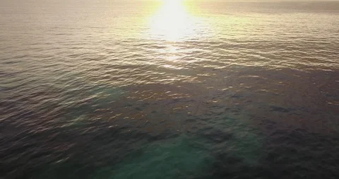 View Of Tropical sunset Beach Matemwe Village in Unguja, Tanzania Zanzibar Stock Footage 90492276