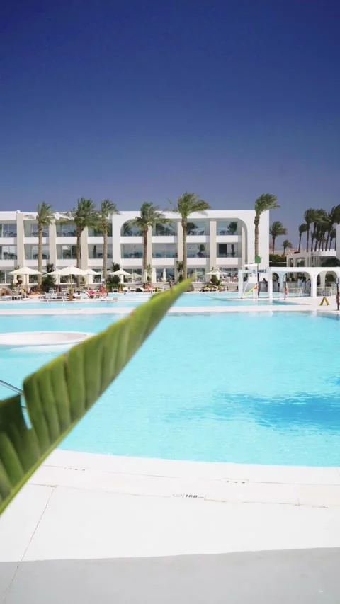 View of tropical trees and pool at luxury resort Stock Footage 330997365