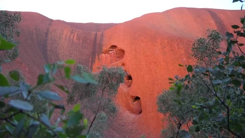 View trough foliage on Ayers Rock (Uluru) monolith, Australia Stock Footage 278097664