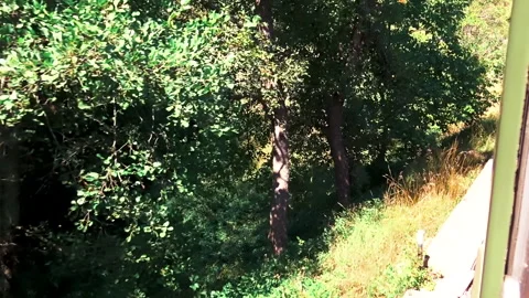 A view trough window of a train while passing trough landscape. Видео 162672161