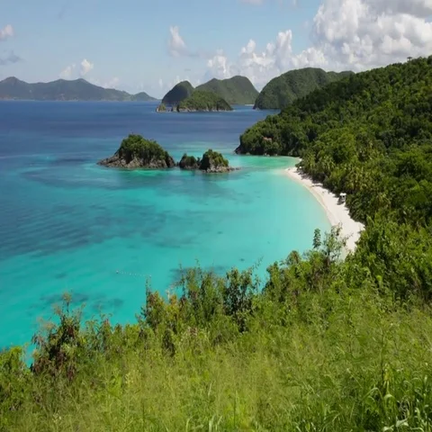 View of trunk bay, st john, united states virgin islands Stock Footage 69468194