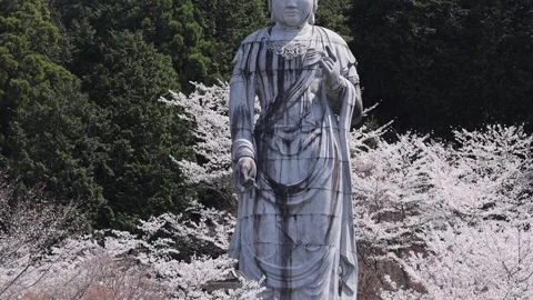 View of Tsubosaka-dera Buddha statue in Nara, Japan. Stock Footage 339915865