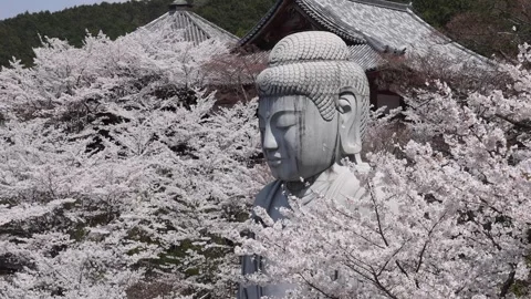 View of Tsubosaka-dera Buddha statue in Nara, Japan. Stock Footage 339915898