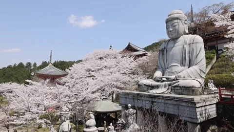View of Tsubosaka-dera Buddha statue in Japan. Stock Footage 339915931