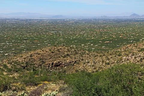 View of Tucson from Mount Lemmon Stock Photos