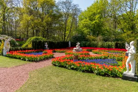 A view of tulip fields in springtime, Holland, the Netherlands Stock Photos