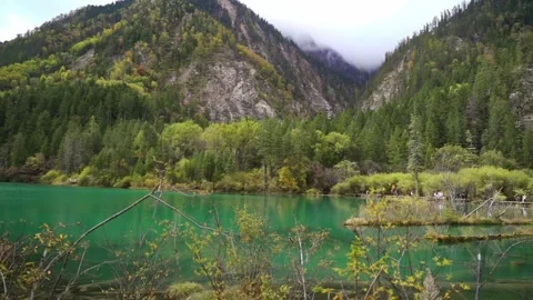View of Turquoise Alpine Lake and Forested Mountains in Jiuzhaigou National Park 動画素材 334122401