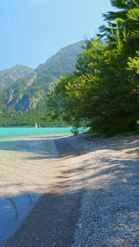 View of turquoise alpine lake Plansee in the Austrian Tyrol, surrounded by fo Stock Footage 308304852