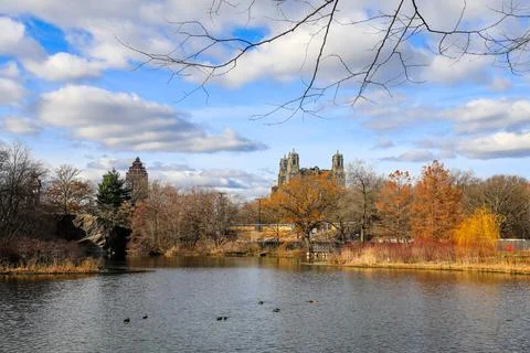 View of Turtle Pond in Central Park, New York City Stock Photos