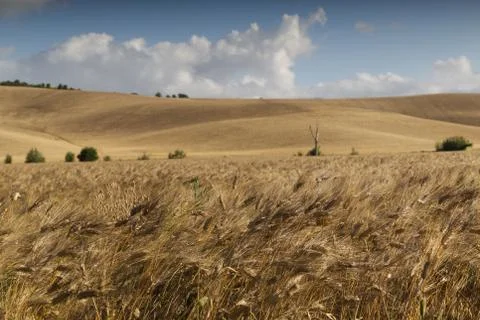 View of the Tuscan countryside Stock Photos