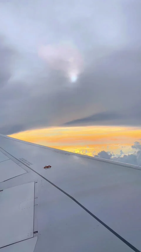 View of twilight from the Airplane window. 스톡 동영상 209442237