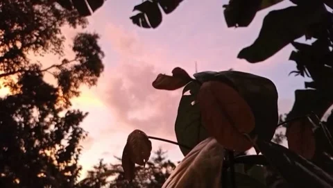 The view of the twilight sky is visible pink. Видео 330245041