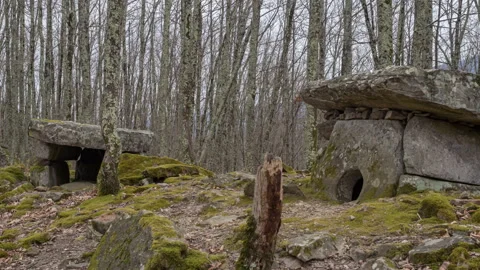 View of Two Ancient Dolmens in the forest. Vídeo Stock 142124345