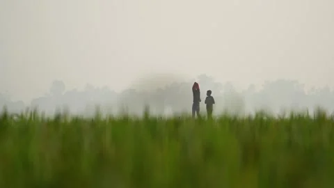 View of two boys in a green field in Bogura, Bangladesh. Stock-Footage 335599480