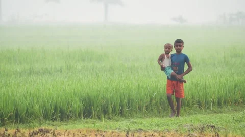 View of two boys in a misty rice field in Bogura, Bangladesh. Stock-Footage 335584221