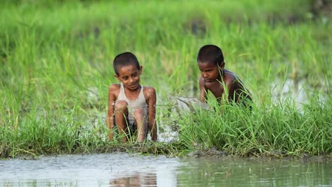View of two boys playing in a muddy field in Bogura, Bangladesh. Stock Footage 335584122