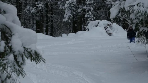 View of two boys walking through a snowy forest, 4k footage Video stock 70666994
