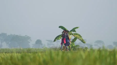 View of two boys walking through rural fields in Bogura, Bangladesh. Stock Footage 335588086