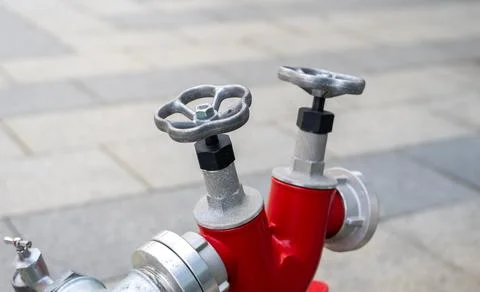 View of two head lush red color fire hydrant water valve pole beside street. Stock Photos