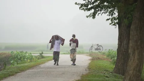View of two men walking on a misty rural road, Bangladesh. Video stock 335549476