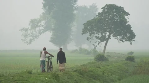 View of two men walking through a misty rural landscape, Bangladesh. Stock Footage 335549466