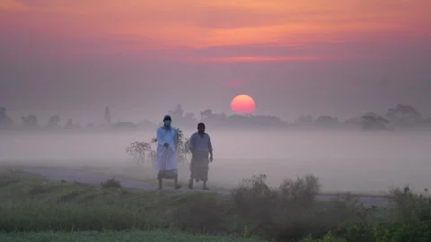 View of two men walking through misty fields at sunrise, Bangladesh. Video stock 335553101