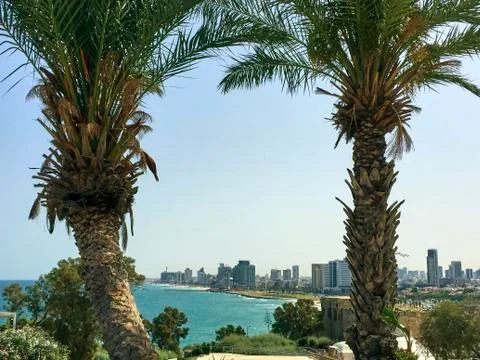 View by two palm trees on the skyline and Tel Aviv beaches Stock Photos