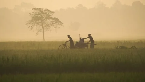 View of two people pushing a bicycle through a misty field, Bangladesh. 動画素材 335591560