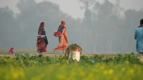 View of two women walking through rural fields in Bogura, Bangladesh. Video stock 334972687