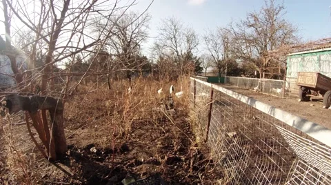 View of a typical garden in early spring Stock Footage 59593014