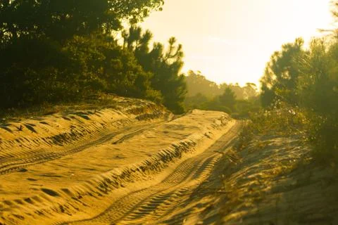 View of tyre tracks Stock Photos