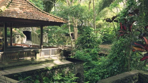 View of Ubud Monkey Forest Sanctuary Stock Footage 86517854