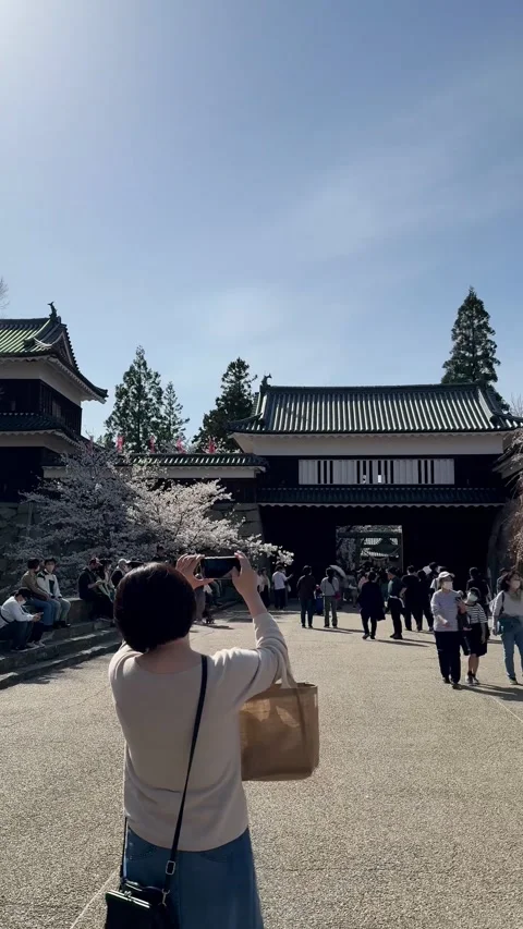 A view of the Ueda Castle cherry blossom festival Stock Footage 278123579