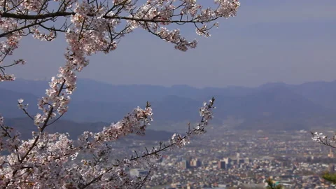 View of Ueda City and Cherry Blossoms from the Ruins of Yoneyama Castle 動画素材 330640747