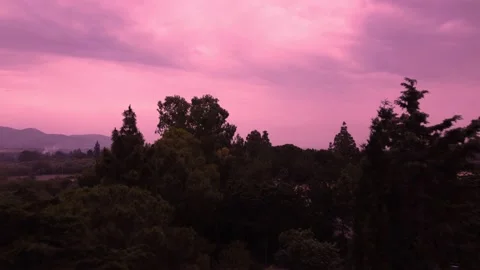 A view of uncommon pink and cloudy sky over some trees and countryside Video stock 196281340