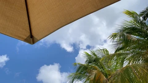 The view from under the beach umbrella to the blue sky and palm trees. Stock Footage 164064360