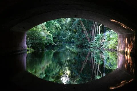 View from under the bridge over the river Pegnitz and the forest in the city  Stock Photos