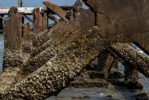 View under at Broken old structure remains of pier in the sea. Stock Photos