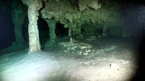 View from under clear water to trees and tree roots and ray of suns in cenotes. Видео 149579763