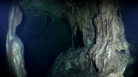 View from under clear water to trees and tree roots and ray of suns in cenotes. 스톡 동영상 149579765
