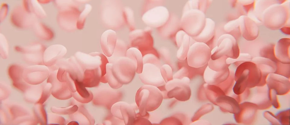 View under microscope, blood, red blood cells in living body, Flowing red b.. Stock Photos