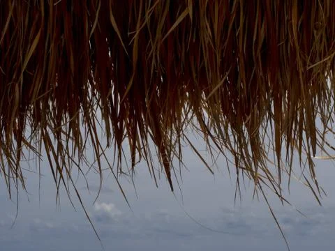 View from under Stock-Fotos