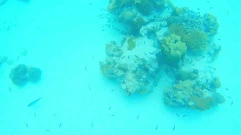 View under the sea Stock Footage 144533589