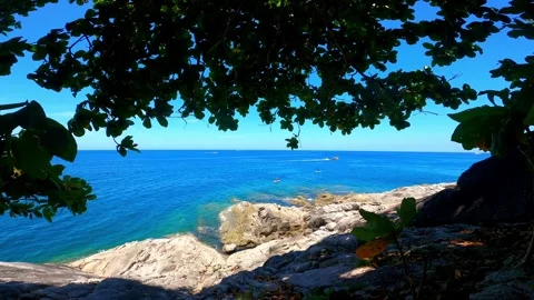 The view from under the trees to the sea on which the boats are sailing. Video stock 243279799