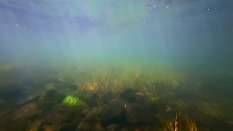 View from under the water floating down the Provo River Stock Footage 341829909