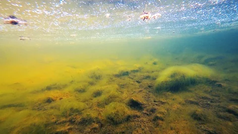 View under the water in the river. Still water. Stock Footage 123691674